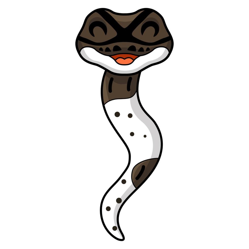 Cute oreo pied ball python cartoon vector