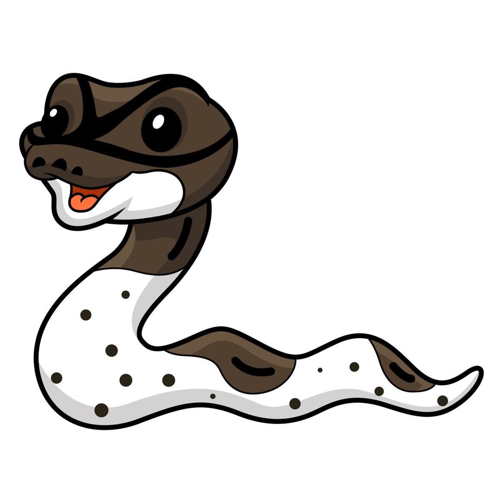 Cute oreo pied ball python cartoon vector