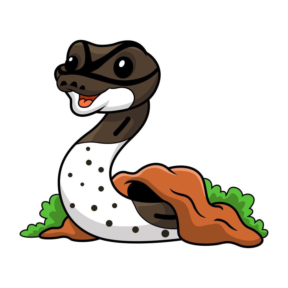 Cute oreo pied ball python cartoon out from hole vector