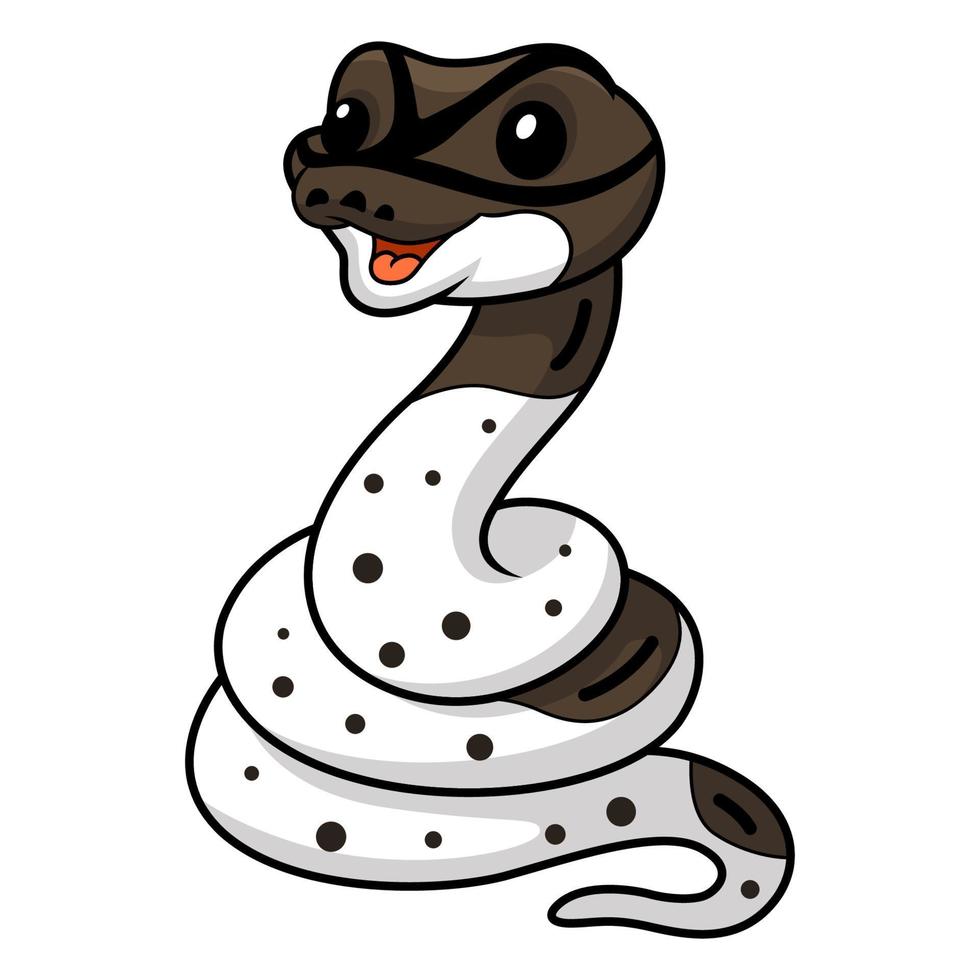 Cute oreo pied ball python cartoon vector