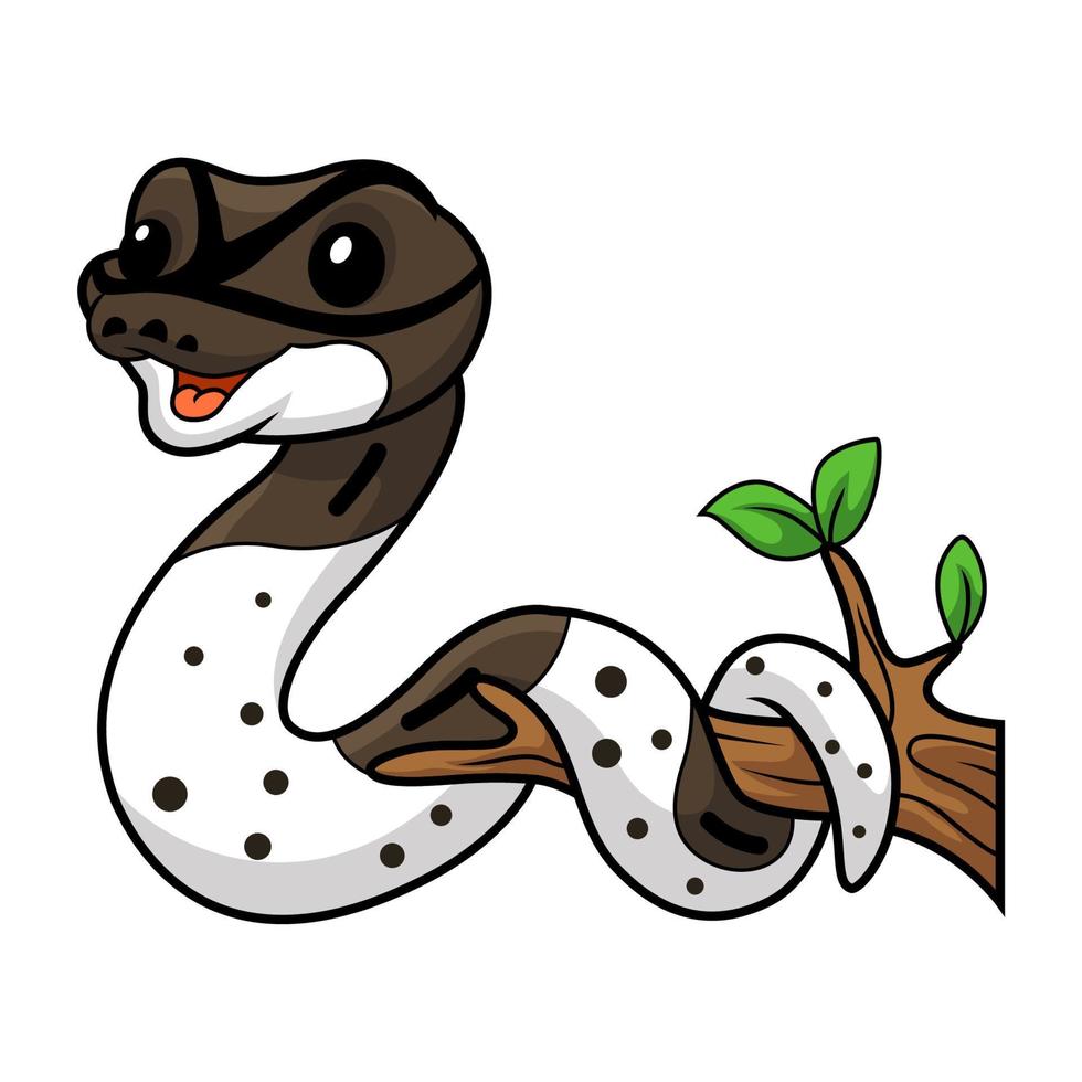 Cute oreo pied ball python cartoon on tree branch vector