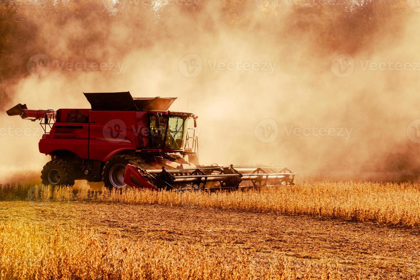 Soy Bean Harvester photo