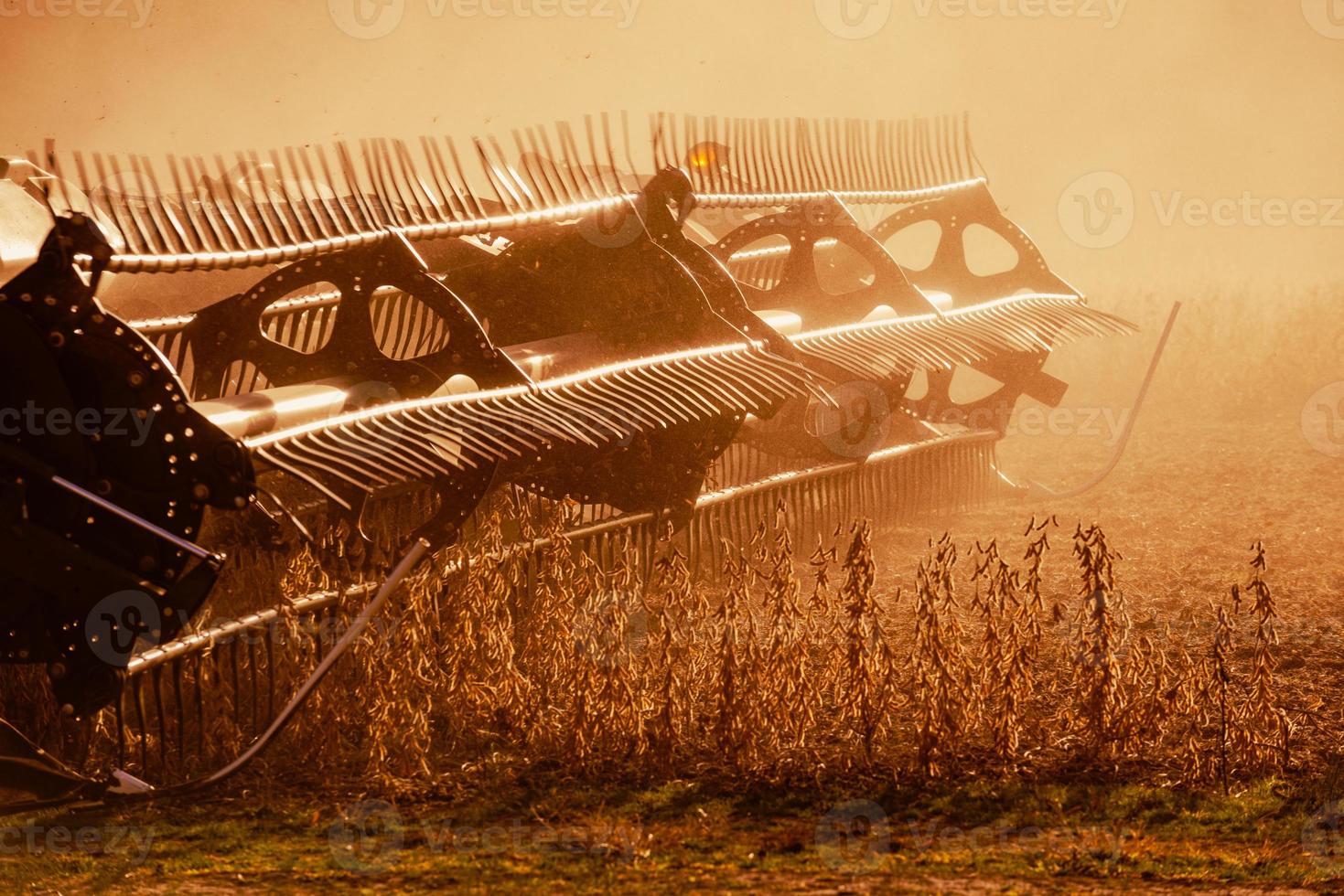 Soy Bean Harvester photo