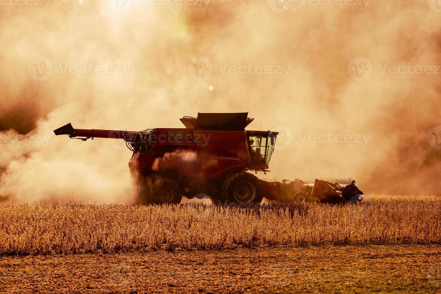 Soy Bean Harvester photo