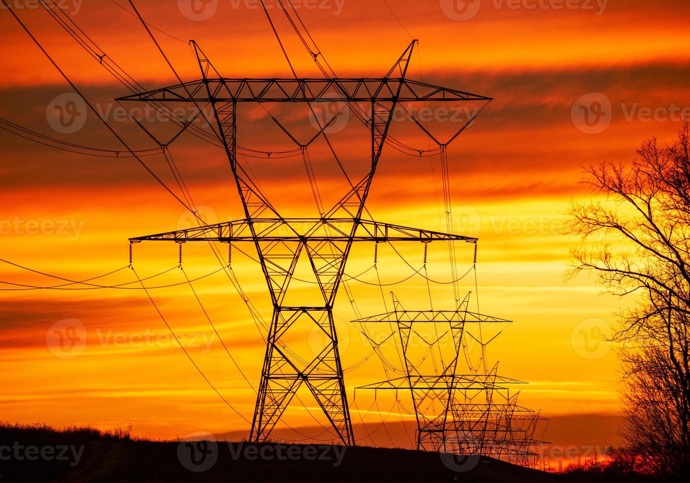 High Voltage Power Lines photo