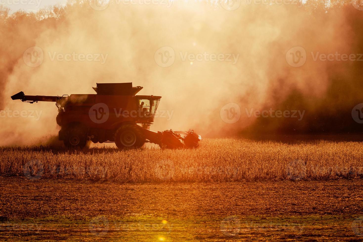 Soy Bean Harvester photo