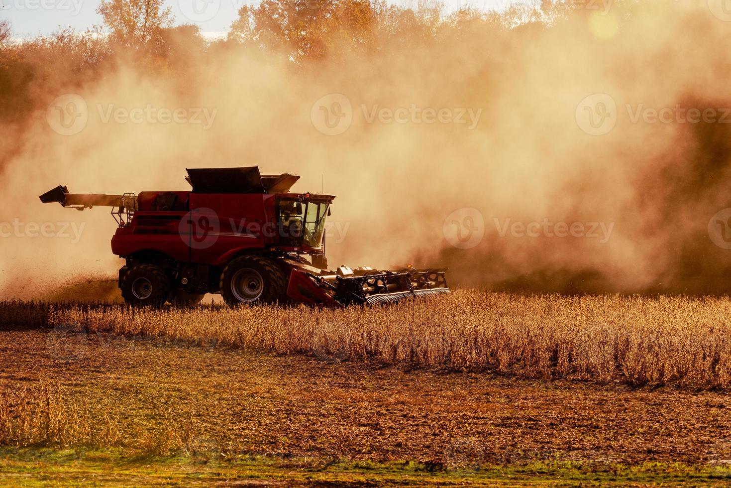 Soy Bean Harvester photo