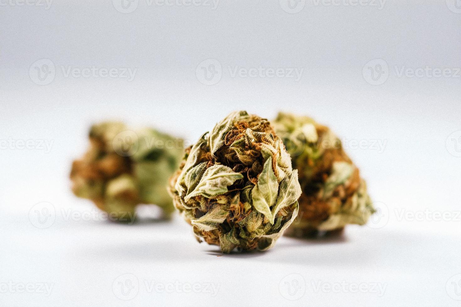A High-Resolution Photograph of a Marijuana Sativa Bud on a White Background photo