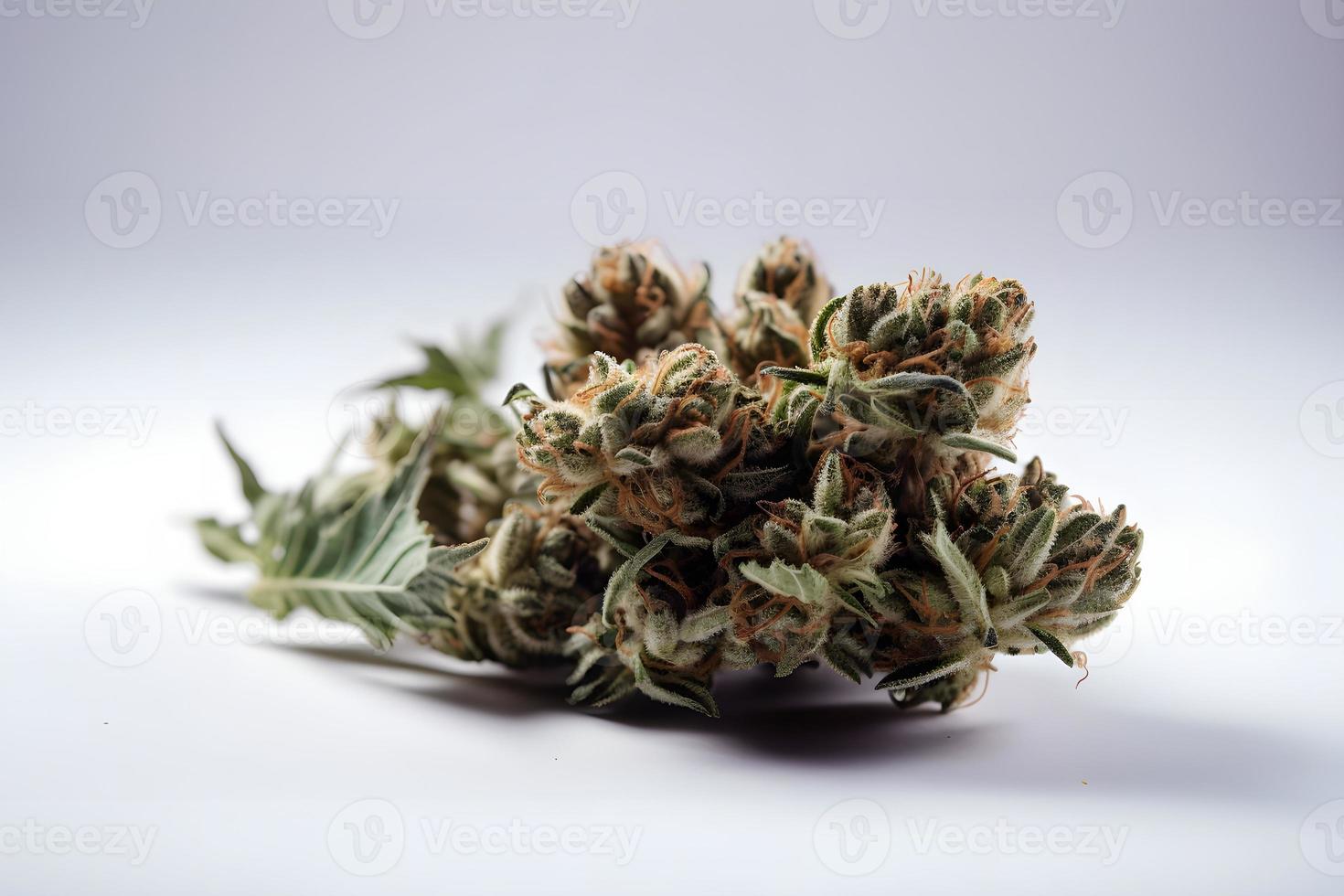 A Stunning Close-Up of a Sativa Bud on a White Background photo