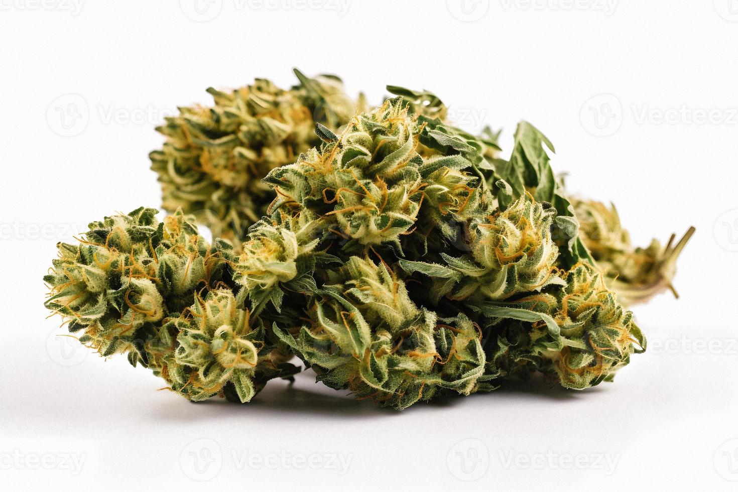 A High-Resolution Photograph of a Marijuana Sativa Bud on a White Background photo