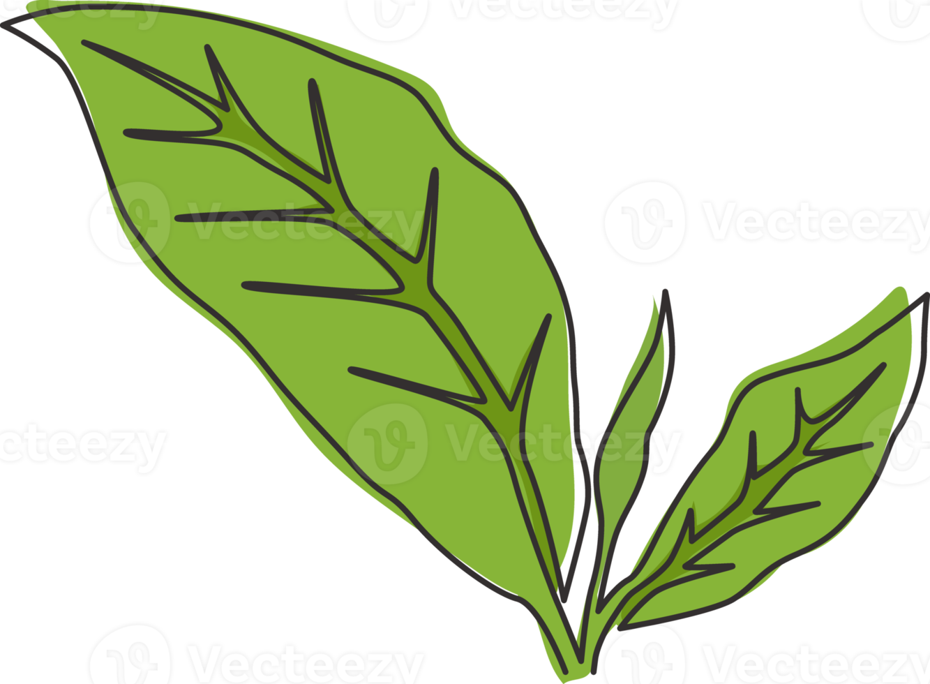 Single continuous line drawing healthy organic tea leaves for plantation logo identity. Fresh tender bud of tea shoot concept for tea leaf icon. Modern one line draw graphic design vector illustration png