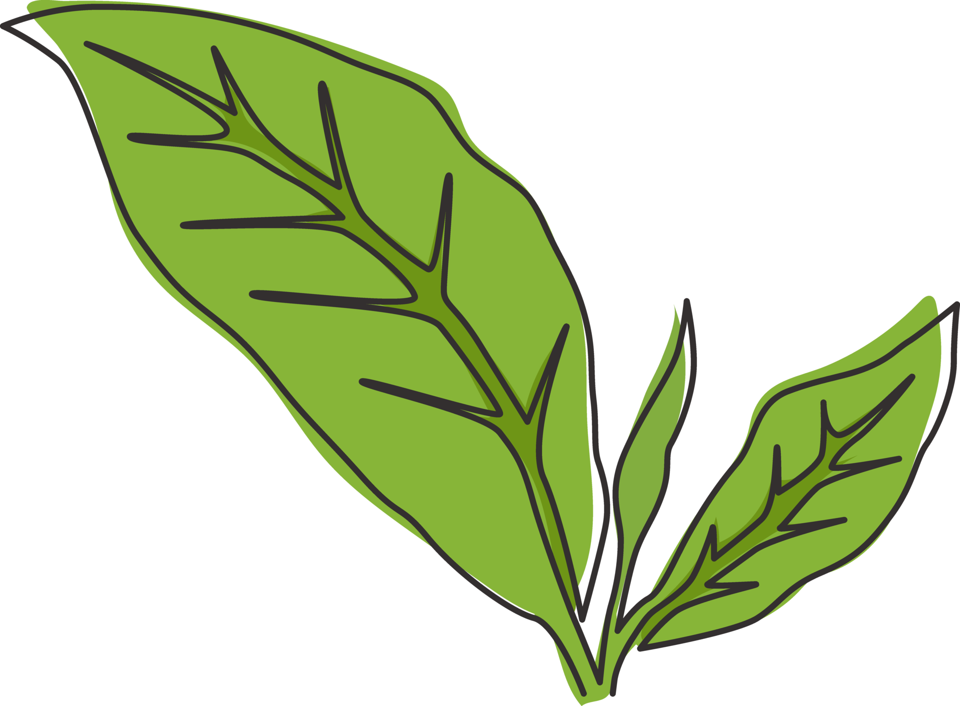 Single continuous line drawing healthy organic tea leaves for plantation  logo identity. Fresh tender bud of tea shoot concept for tea leaf icon.  Modern one line draw graphic design vector illustration 22619343