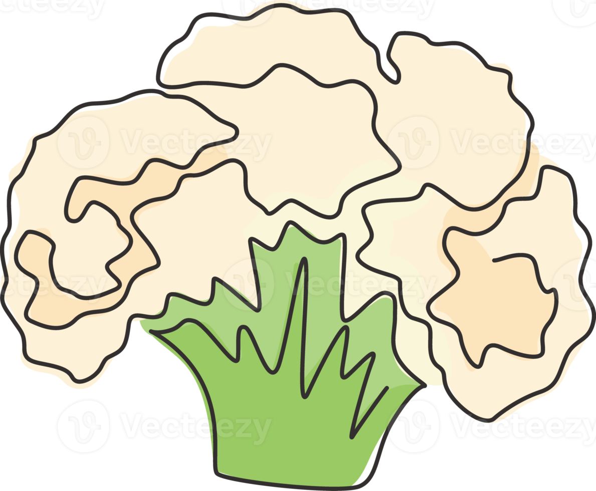 Eine einzige Strichzeichnung des ganzen gesunden Bio-Blumenkohls für die Identität des Farmlogos. Frische Brassica Oleracea-Konzept für Gemüse-Symbol. moderne durchgehende Linie zeichnen Design-Vektorgrafik-Illustration png