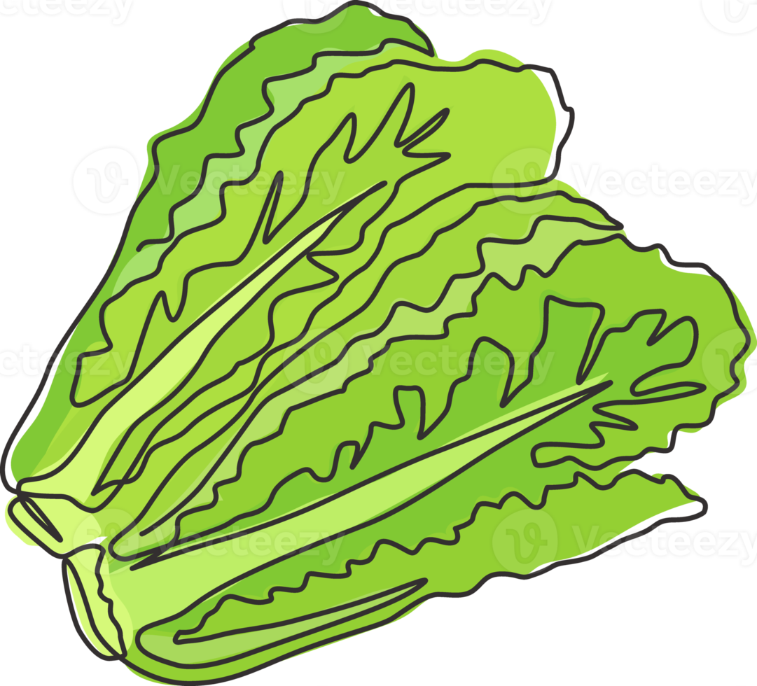One single line drawing healthy organic green lettuce leaves for farm logo identity. Fresh salad ingredient concept for vegetable icon. Modern continuous line draw design graphic vector illustration png