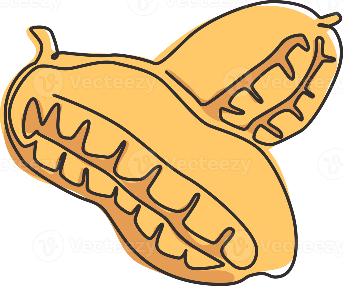 One single line drawing of whole healthy organic peanut for farm logo identity. Fresh groundnut concept for edible seeds icon. Modern continuous line draw design vector graphic illustration png