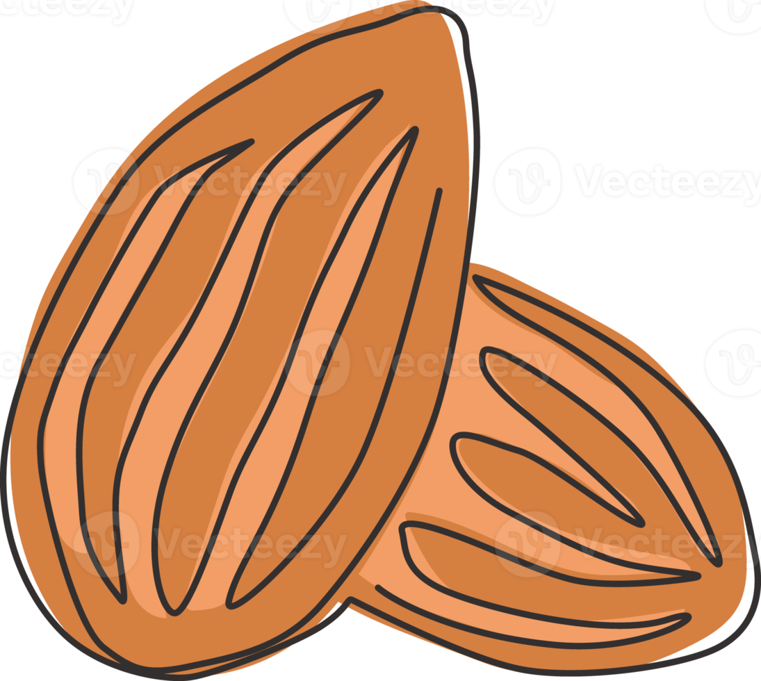 dessin au trait continu unique d'un groupe entier d'amandes biologiques saines pour l'identité du logo du verger. concept de graines comestibles fraîches pour l'icône de fruits. Une ligne moderne dessiner illustration graphique vectorielle de conception png