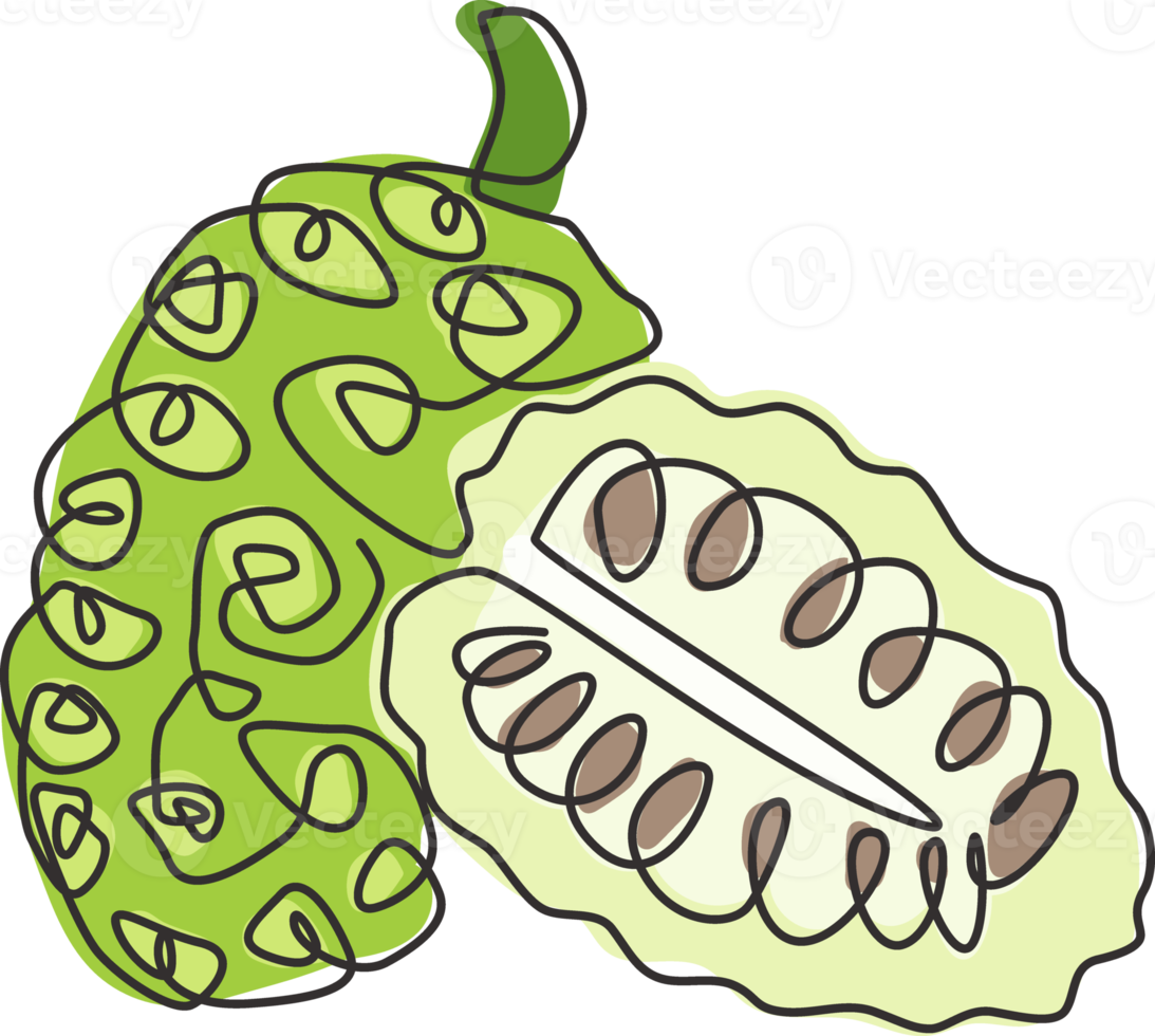 One continuous line drawing of whole and half sliced healthy organic noni for logo identity. Fresh morinda citrifolia concept for fruit garden icon. Modern single line draw design vector illustration png