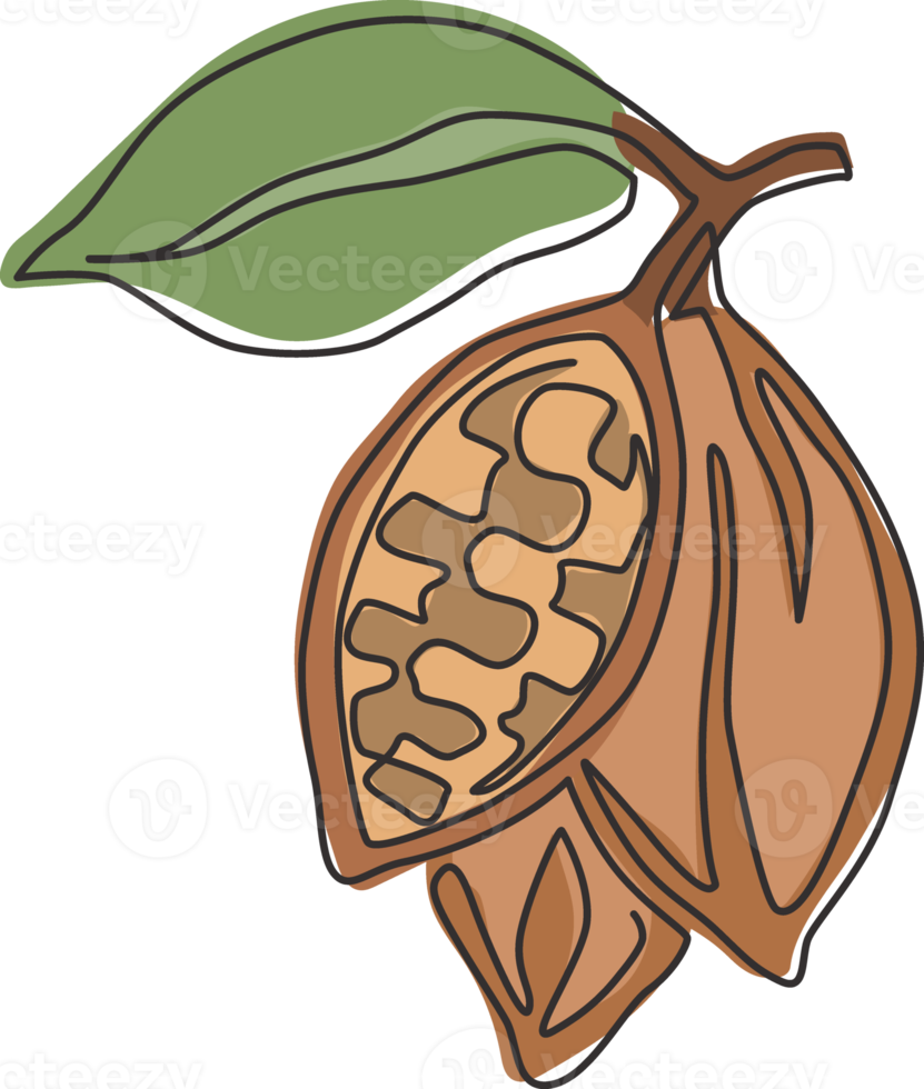 Single continuous line drawing of whole healthy organic cocoa bean for plantation logo identity. Fresh cacao concept for chocolate shop icon. Modern one line draw design vector graphic illustration png