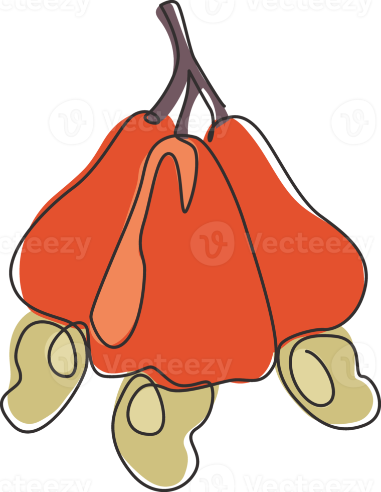 Single continuous line drawing whole healthy organic cashew apple for orchard logo identity. Fresh Brazil caju concept for fruitage garden icon. Modern one line draw design graphic vector illustration png