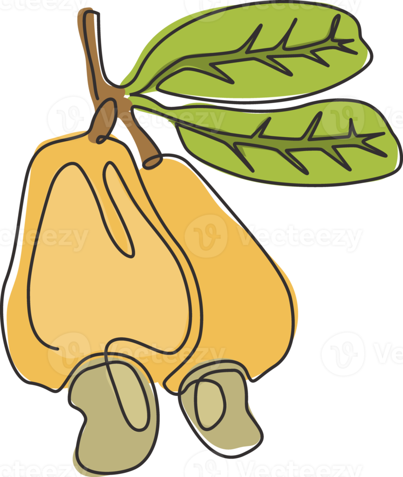 één enkele lijntekening van hele gezonde biologische cashewappel voor de identiteit van het boomgaardlogo. vers tropisch fruitconcept voor fruittuinpictogram. moderne doorlopende lijn tekenen ontwerp vectorillustratie png