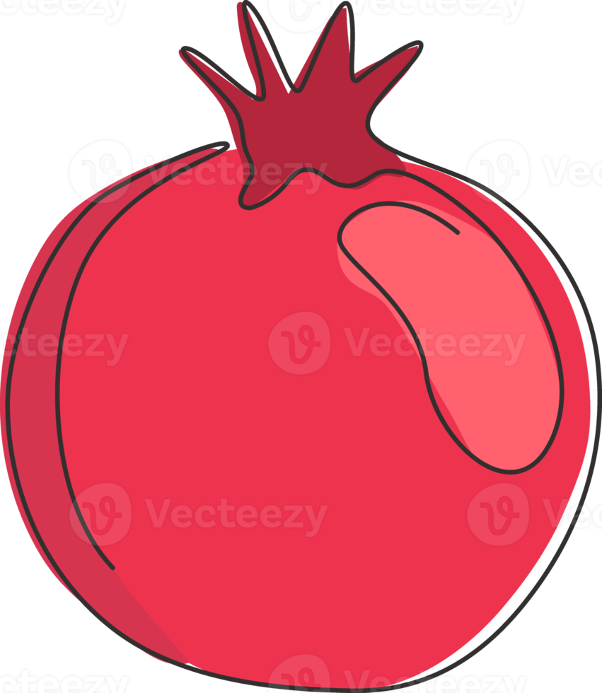 un dibujo de una sola línea de granada orgánica sana entera para la identidad del logotipo de la huerta. concepto de semillas de fruitage fresco para el icono de jardín de frutas. Ilustración gráfica de vector de diseño de dibujo de línea continua moderna png