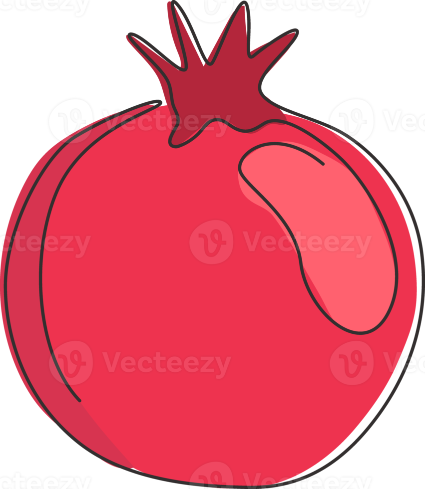 One single line drawing whole healthy organic pomegranate for orchard logo identity. Fresh fruitage seeds concept for fruit garden icon. Modern continuous line draw design vector graphic illustration png