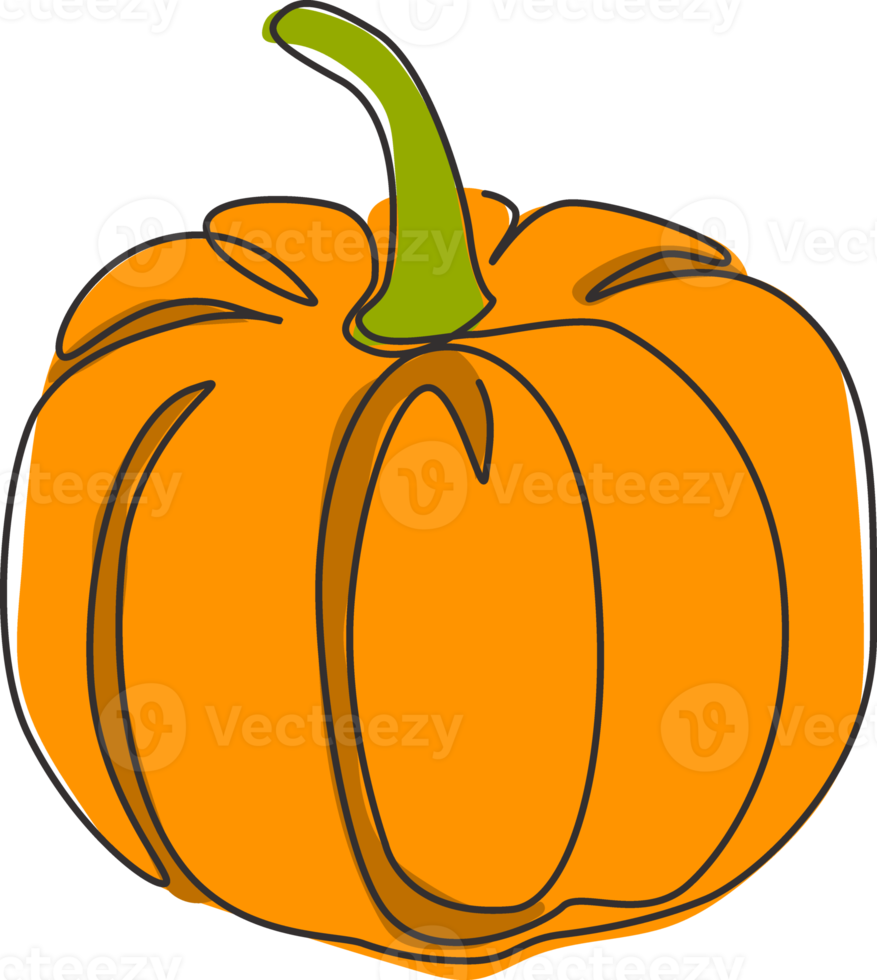 One continuous line drawing of whole round healthy organic pumpkin for orchard logo identity. Fresh autumn fruitage concept for fruit garden icon. Modern single line draw design vector illustration png