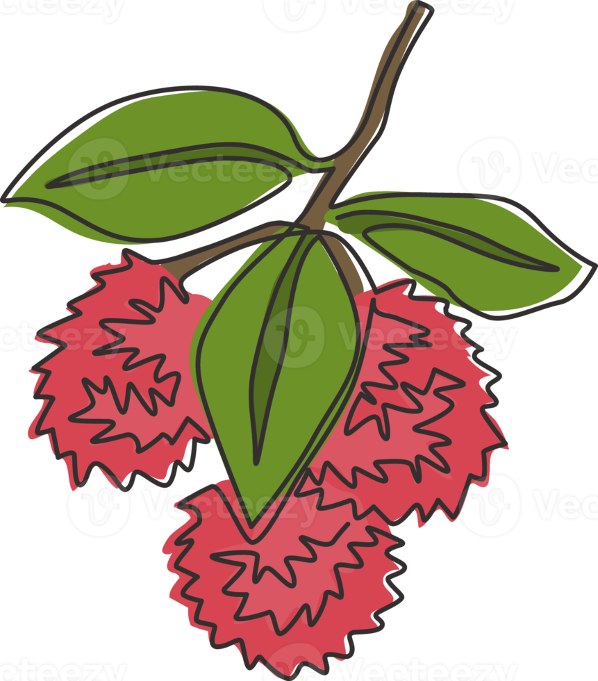 One single line drawing of whole heap healthy organic rambutans for orchard logo identity. Fresh tropical fruitage concept for fruit garden icon. Modern continuous line draw design vector illustration png