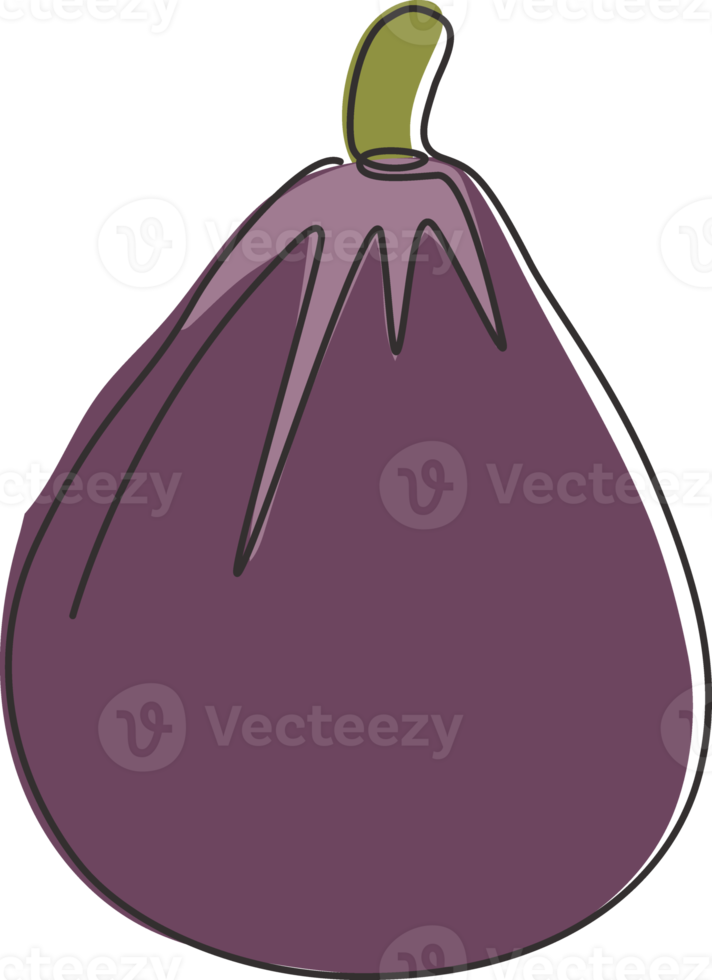 One continuous line drawing whole healthy organic figs for orchard logo identity. Fresh exotic summer fruitage concept for fruit garden icon. Modern single line draw design graphic vector illustration png
