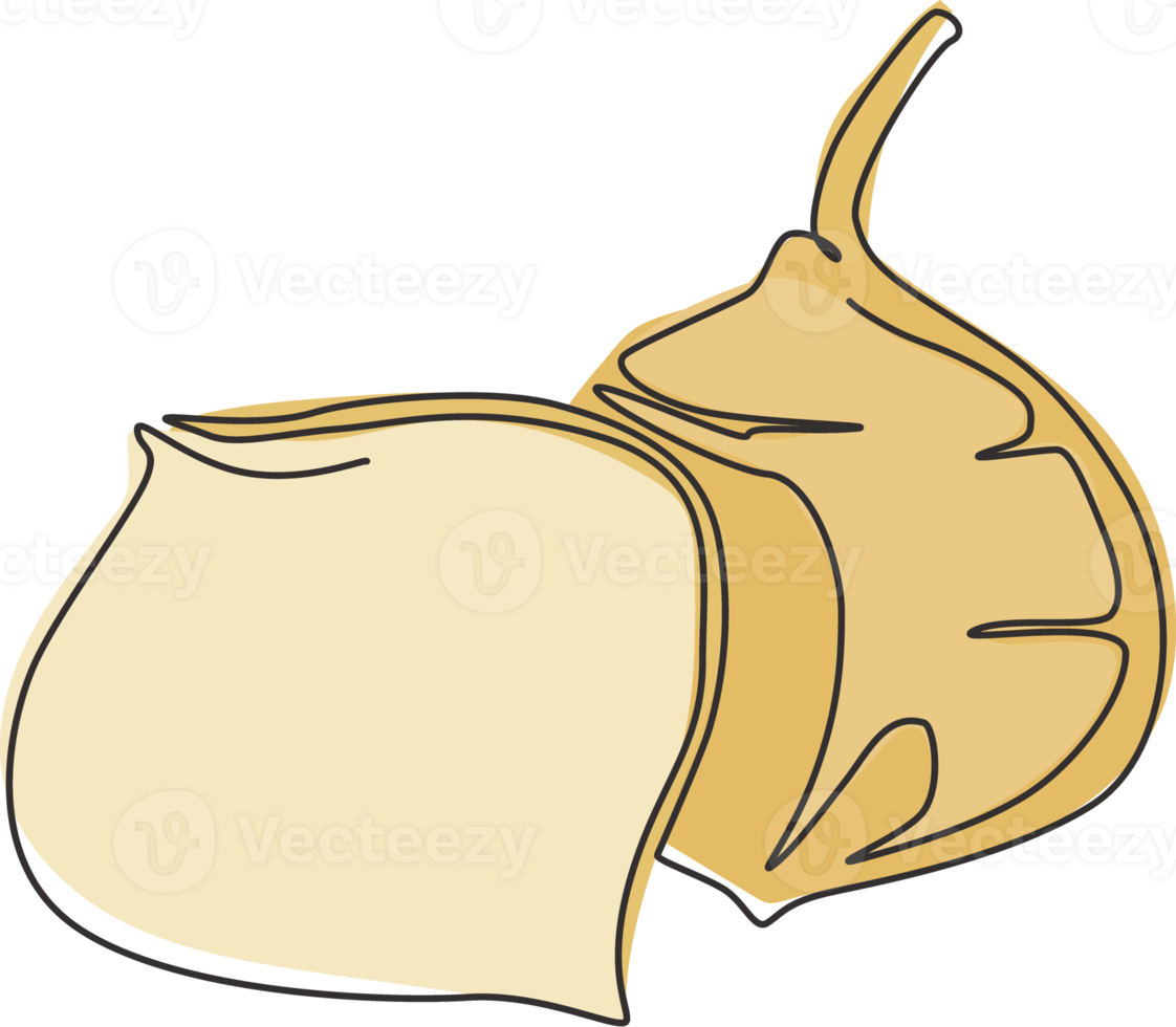 One single line drawing of whole healthy organic jicama for orchard logo identity. Fresh yam vegetable concept for vegan farm icon. Modern continuous line draw graphic design vector illustration png