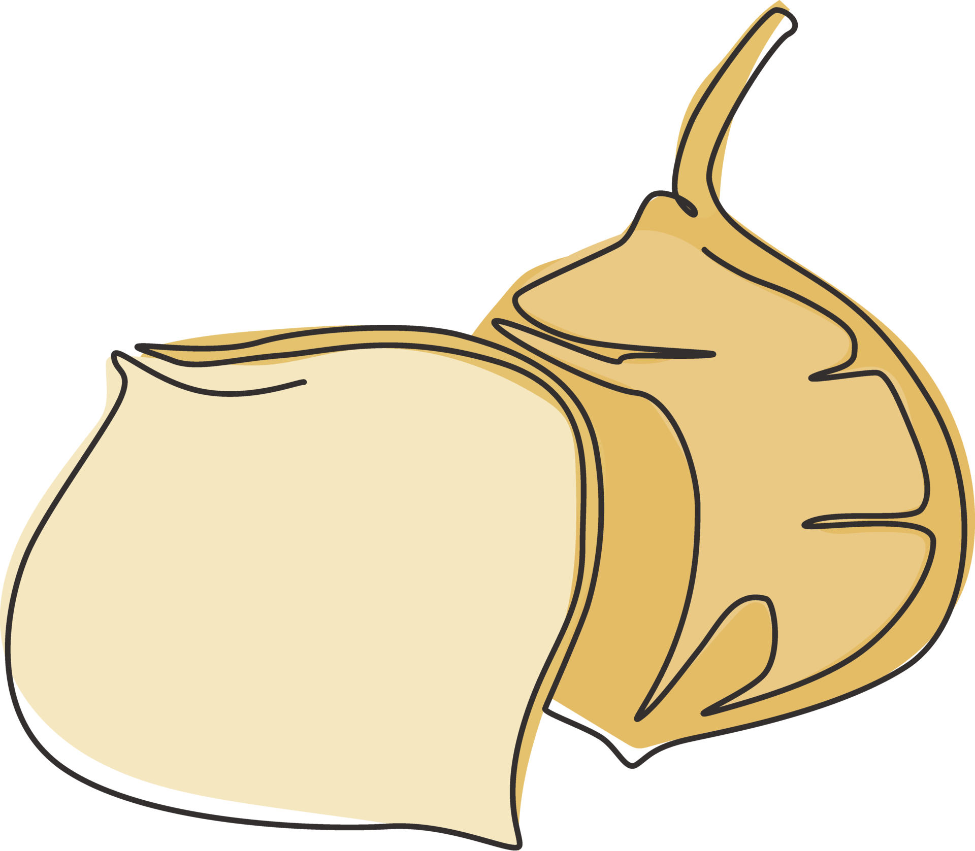 Free One single line drawing of whole healthy organic jicama for