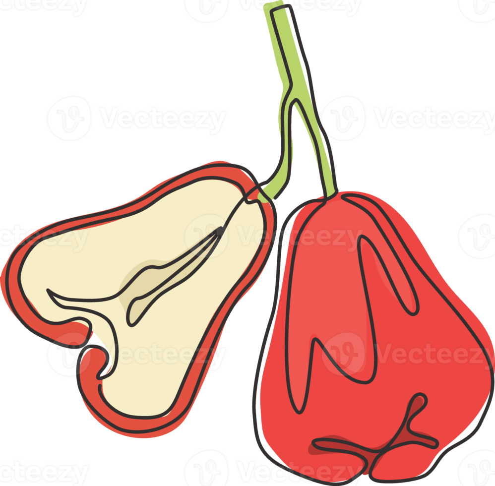 One continuous line drawing of whole healthy organic bell fruits for orchard logo identity. Fresh bellfruit concept for fruit garden icon. Modern single line draw design graphic vector illustration png