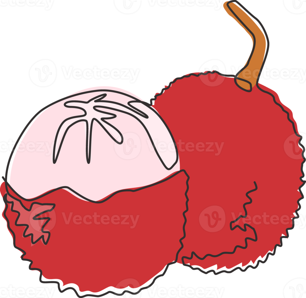 één enkele lijntekening van hele gezonde biologische lychee voor de identiteit van het boomgaardlogo. vers exotisch fruitconcept voor fruittuinpictogram. moderne doorlopende lijn tekenen ontwerp grafische vectorillustratie png