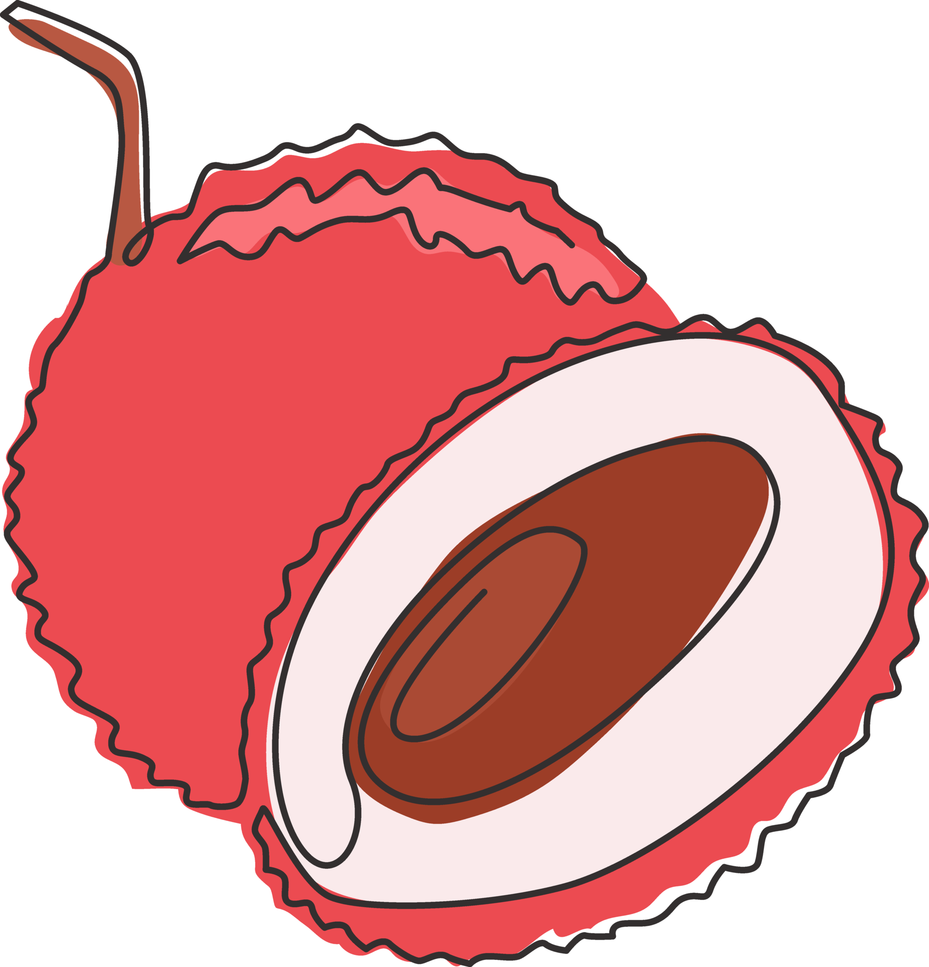 Single continuous line drawing of whole healthy organic lychee for