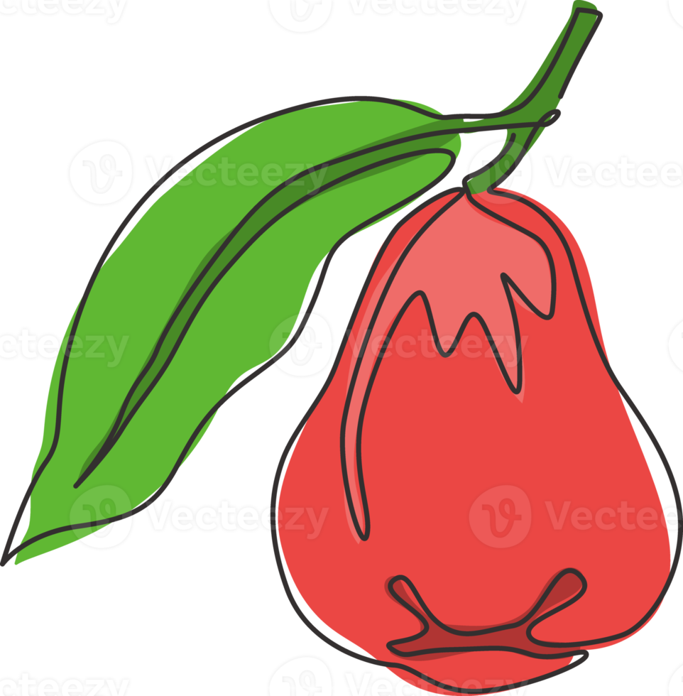 One single line drawing of whole healthy organic bell fruit for orchard logo identity. Fresh rose apple fruitage concept for fruit garden icon. Modern continuous line draw design vector illustration png