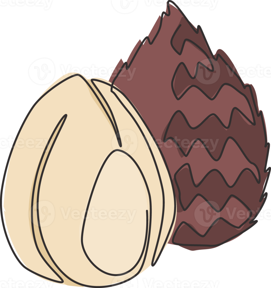 en kontinuerlig linjeritning av hel hälsosam ekologisk salak för logotyp för fruktträdgård. färska exotiska thailand fruitage koncept för fruktträdgård ikon. moderna en rad rita design vektorillustration png