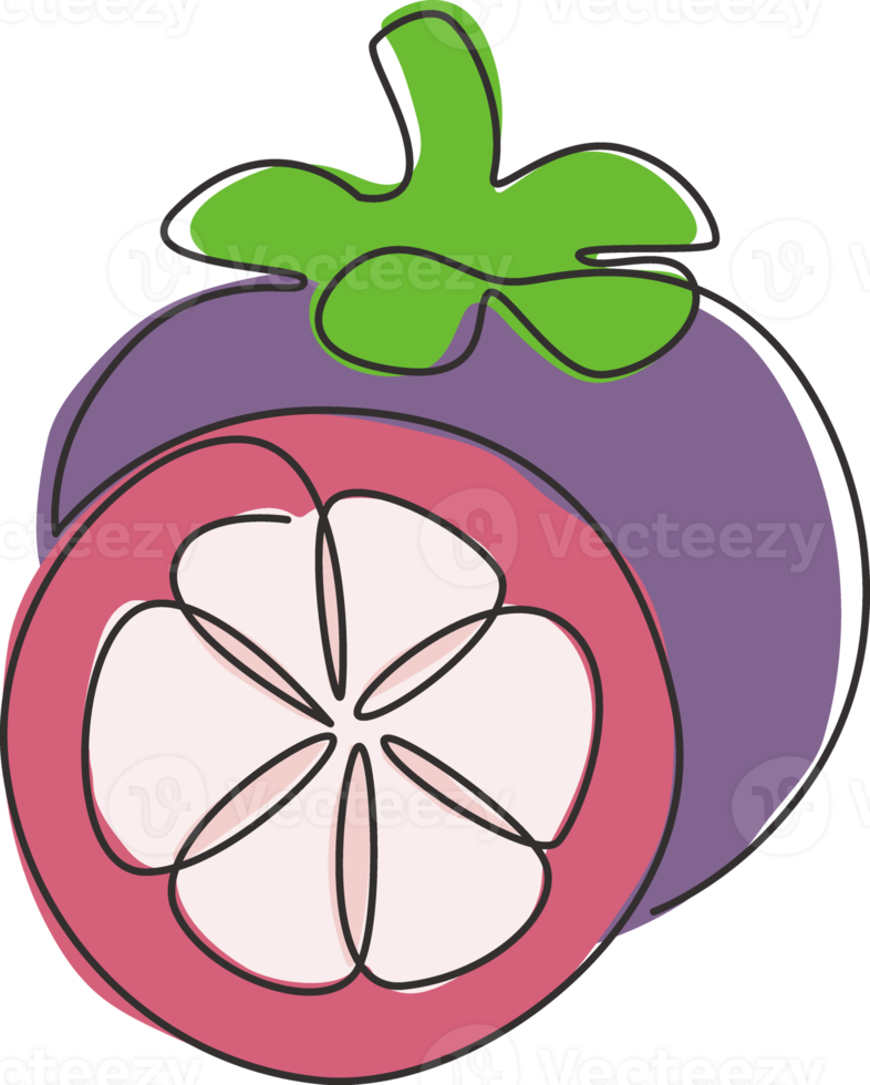 One continuous line drawing of whole and half cut healthy organic mangosteen for orchard logo identity. Fresh fruitage concept for fruit garden icon. Modern single line draw design vector illustration png