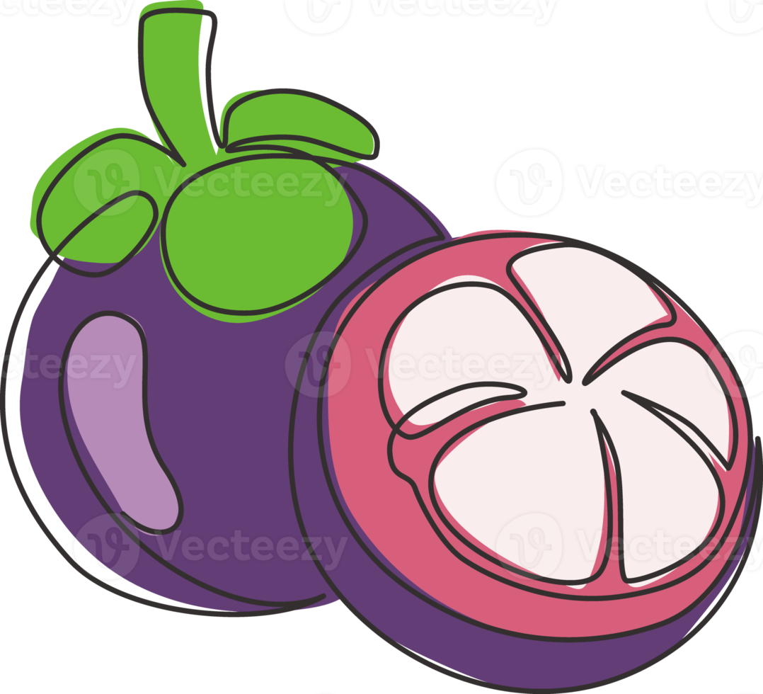 One single line drawing whole and half sliced healthy organic mangosteen for orchard logo identity. Fresh concept for fruit garden icon. Modern continuous line draw design graphic vector illustration png