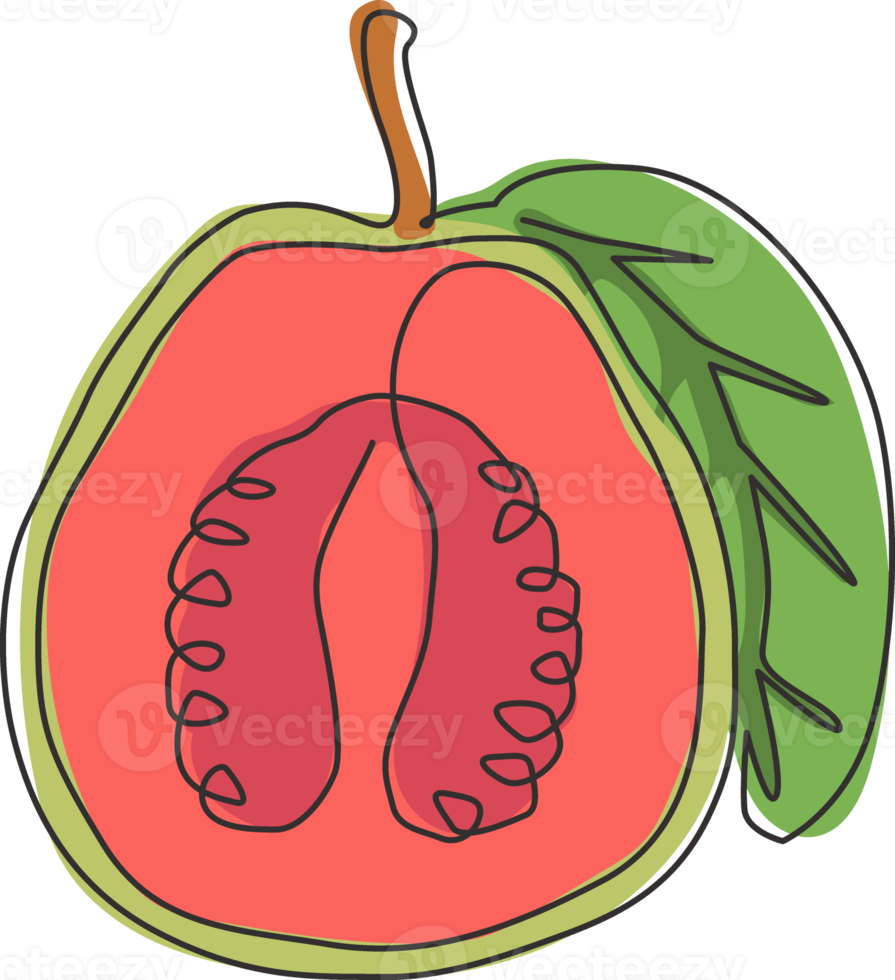 One single line drawing half sliced healthy organic java guava for orchard logo identity. Fresh tropical fruit concept for garden icon. Modern continuous line draw design graphic vector illustration png