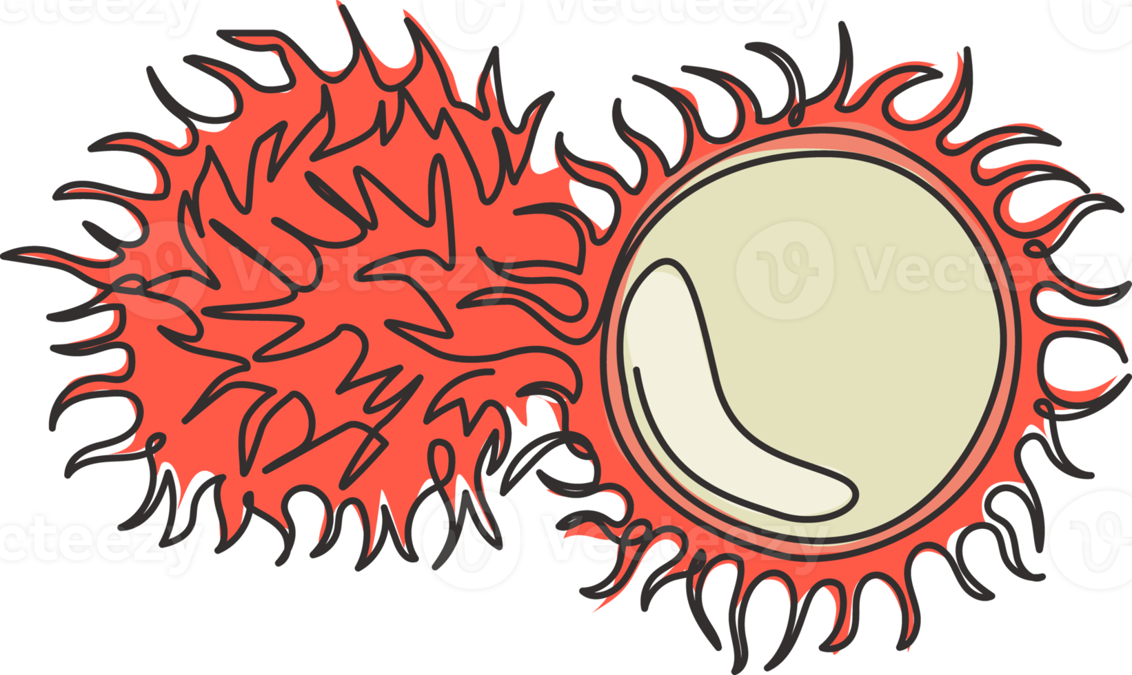 singola linea continua che disegna rambutan organici sani interi e affettati per l'identità del logo del frutteto. concetto di frutta fresca pelosa per l'icona del giardino. illustrazione grafica vettoriale moderna di disegno di una linea di disegno png