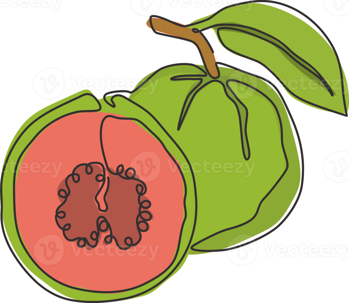 Single continuous line drawing whole and half sliced healthy organic java guava for orchard logo identity. Fresh fruit concept for garden icon. Modern one line draw graphic design vector illustration png