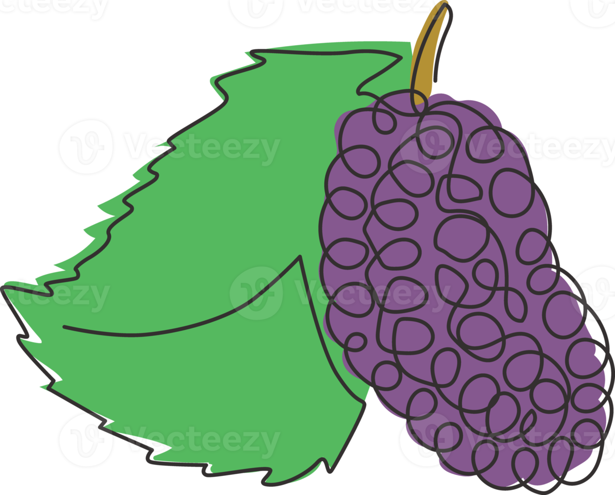 um único desenho de linha de todo saudável orgânico para identidade do logotipo da amoreira do pomar. conceito de fruta de baga fresca para ícone de jardim de frutas. ilustração gráfica do vetor moderno desenho linha contínua png