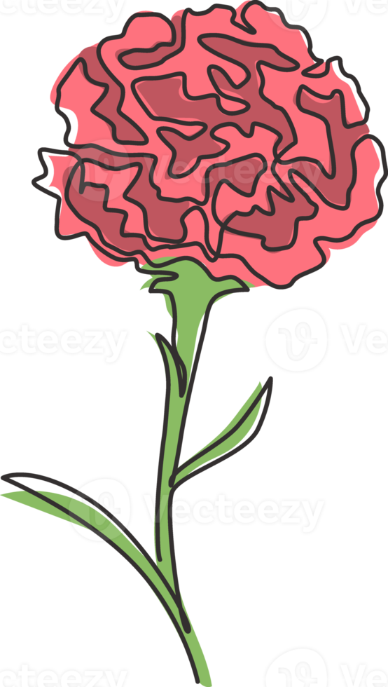 en kontinuerlig linjeteckning skönhet färsk nejlika för hem väggkonst dekor print affisch. dekorativ dianthus caryophyllus blomma för inbjudningskort. trendiga en rad rita design vektorillustration png