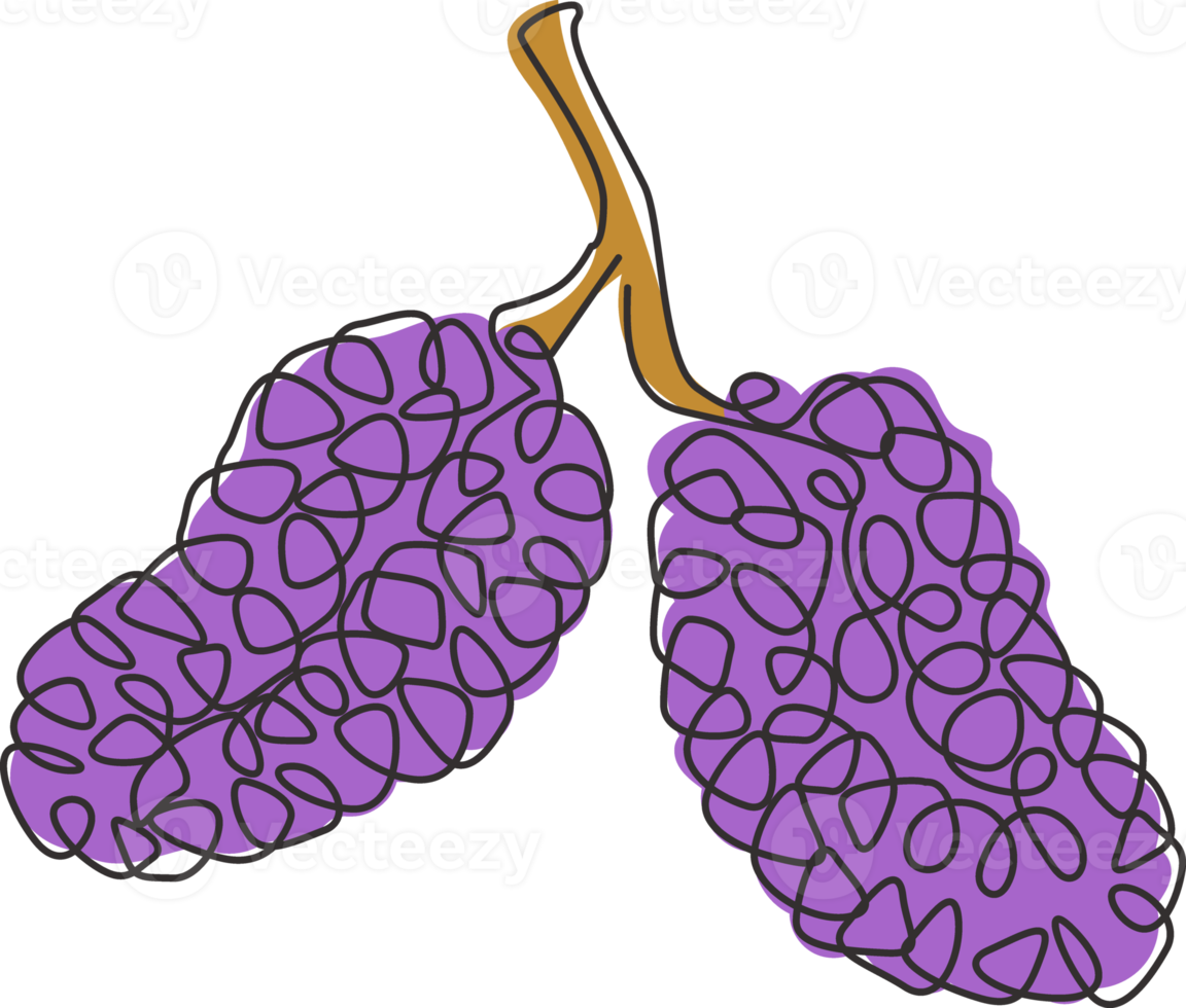 een doorlopende lijntekening hele gezonde biologische moerbeien voor de identiteit van het boomgaardlogo. vers fruitfruitconcept voor fruittuinpictogram. moderne enkele lijn tekenen grafisch ontwerp vectorillustratie png