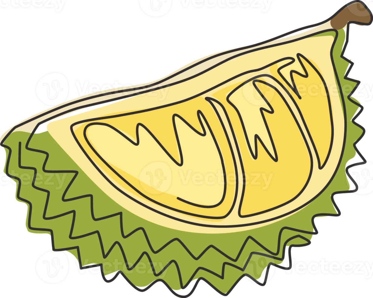 One single line drawing of segment sliced healthy organic durian for orchard logo identity. Fresh tropical fruit concept for garden icon. Modern continuous line draw graphic design vector illustration png