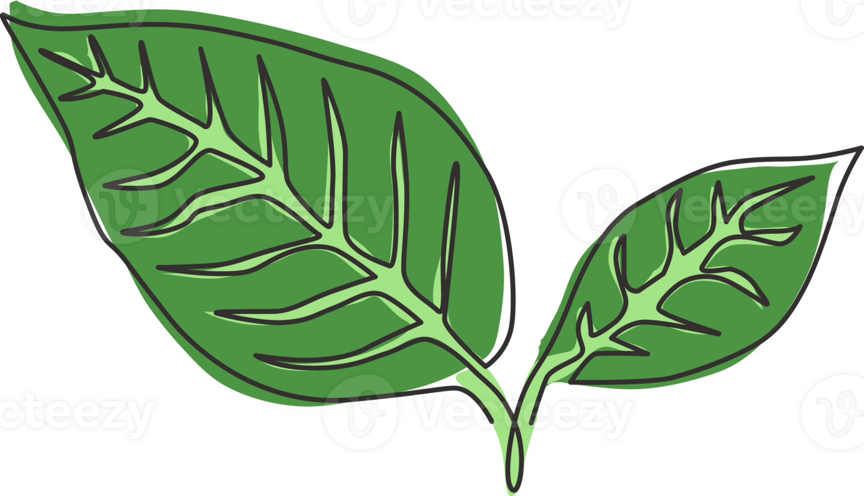 dessin au trait continu unique de la plante de feuilles de thé tropical. affiche imprimable concept de plante d'intérieur décorative pour l'ornement de décoration murale. Illustration vectorielle de conception graphique moderne d'une ligne png