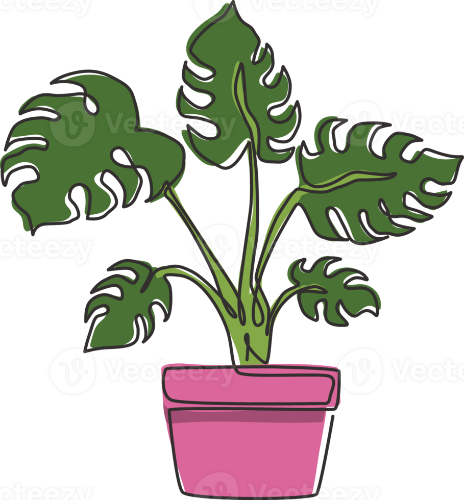 una linea continua di disegno di una pianta di monstera con foglie tropicali in vaso di bellezza. concetto di pianta d'appartamento decorativo stampabile per l'ornamento della decorazione della parete di casa. illustrazione vettoriale grafica di disegno di disegno a linea singola moderna png