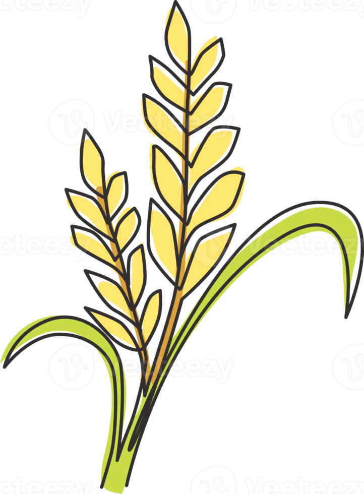 desenho de linha contínua única de grão de trigo orgânico saudável para a identidade do logotipo da fazenda. conceito de alimentos básicos frescos para o ícone de cereais de café da manhã. ilustração gráfica de vetor moderno desenho de uma linha png