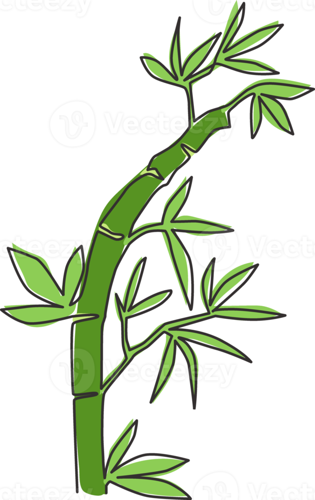 un seul dessin au trait de bambous pour l'identité du logo de la plantation. concept de plante à fleurs vivaces à feuilles persistantes fraîches pour l'icône de la plante. ligne continue moderne dessiner illustration graphique vectorielle de conception png