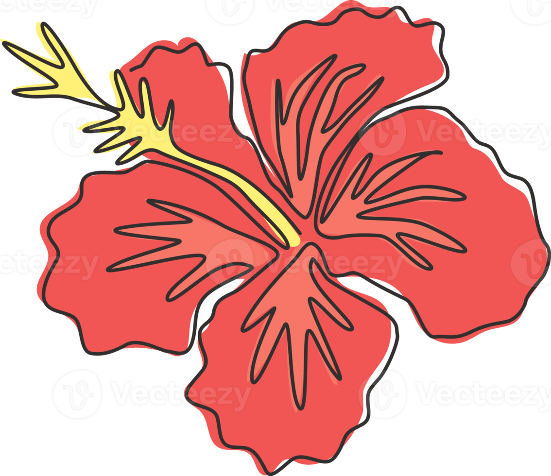 un unico disegno a tratteggio di ibisco di bellezza fresca per il logo del giardino. poster decorativo stampabile per la decorazione della casa della parete del concetto di fiore di malva rosa decorativo. illustrazione vettoriale di disegno grafico a linea continua moderna png